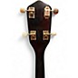 Used Silvertone HARMONY FOLK BANJO BROWN Banjo