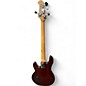 Used Sterling by Music Man Ray34 ISLAND BURST Electric Bass Guitar