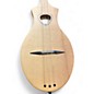 Used Seagull M4 Natural Dulcimer