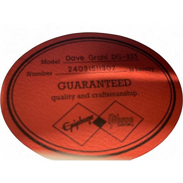 Used Epiphone DG355 DAVE GROHL SIGNATURE Pelham Blue Hollow Body Electric Guitar