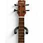 Used Cordoba MINI II Mahogany Acoustic Bass Guitar