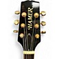 Used Hamer ECHOTONE Amber Hollow Body Electric Guitar