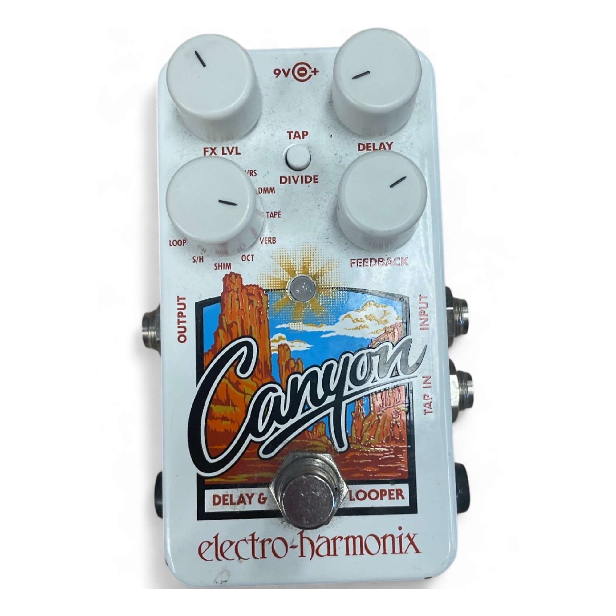 Electro Harmonix Canyon（ディレイ） Electro-Harmonix Canyon Delay + Looper Pedal - Perfect Circuit