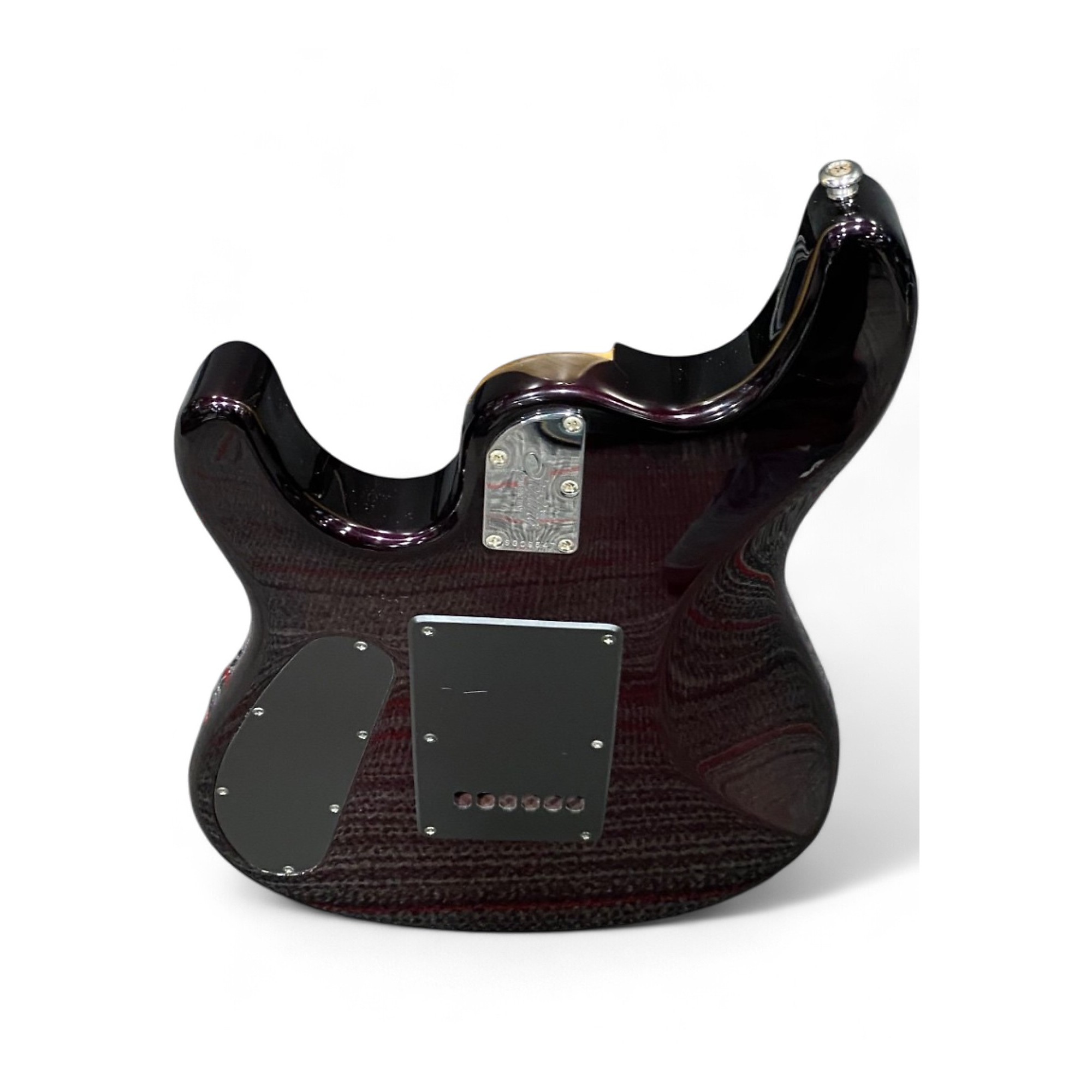 Sterling by MUSIC MAN◇JP50 【公式通販】