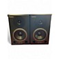 Used Roland DS50A PAIR Powered Monitor