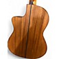Used Walden N550ce Antique Natural Acoustic Electric Guitar