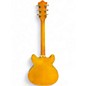Used 2024 Guild STARFIRE VI rosewood Hollow Body Electric Guitar