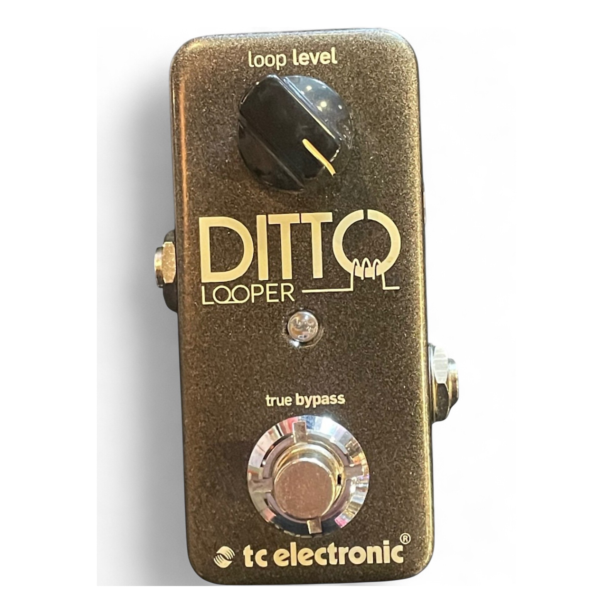 ギター DITTO LOOPER GOLD TC Electronic Ditto Looper | Gold Edition - YouTube