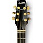 Used Langejans R-6 Dreadnaught Natural Acoustic Electric Guitar