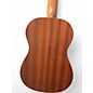 Used Cordoba u1b protege Natural Ukulele