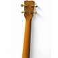 Used Cordoba u1b protege Natural Ukulele