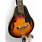 Used Seville Mandolin 2 Tone Sunburst Mandolin
