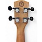 Used Alvarez GDU26C Tattoo Natural Ukulele