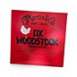 Used Martin DX Woodstock 40th Anniversary Acoustic Guitar