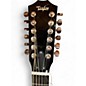 Used Taylor 562CE FADED EDGE BURST 12 String Acoustic Electric Guitar