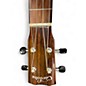 Used Cordoba 22C Concert Natural Ukulele