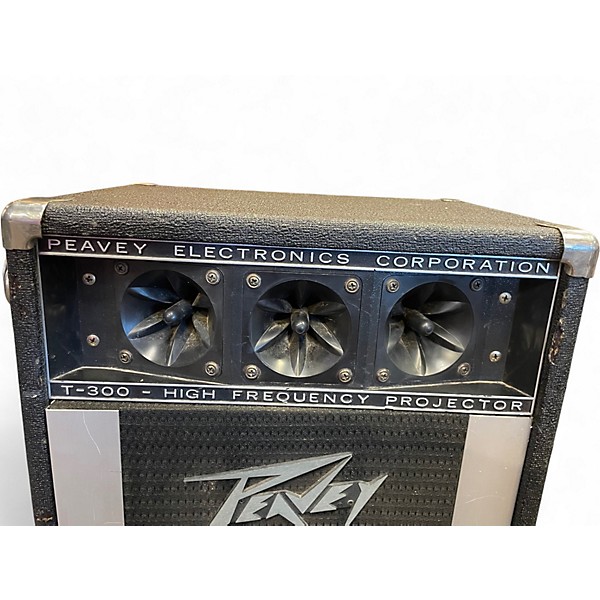 Used Peavey T300 Unpowered Speaker