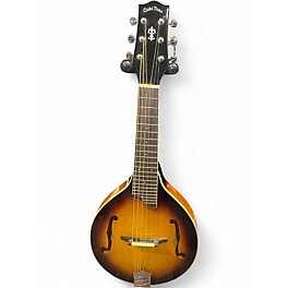 Used Gold Tone gm6 sunburst Mandolin