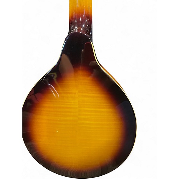 Used Gold Tone gm6 sunburst Mandolin