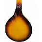 Used Gold Tone gm6 sunburst Mandolin