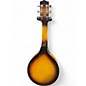 Used Gold Tone gm6 sunburst Mandolin