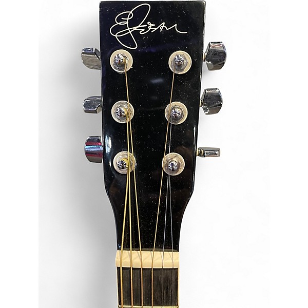 Used Esteban American legacy Black and Silver Acoustic Electric Guitar