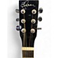 Used Esteban American legacy Black and Silver Acoustic Electric Guitar