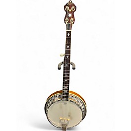 Used Alvarez SILVER PRINCESS NATUR Banjo