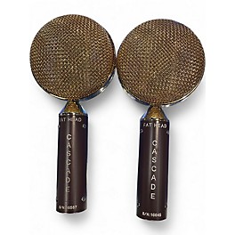 Used Cascade Fat Head pair Ribbon Microphone