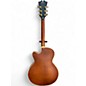Used D'Angelico  DLX 175 Matte Walnut Hollow Body Electric Guitar