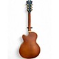 Used D'Angelico  DLX 175 Matte Walnut Hollow Body Electric Guitar