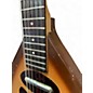 Vintage 1966 Danelectro Coral Bellzouki Sunburst Solid Body Electric Guitar