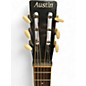 Used Austin Resonator 2 Tone Sunburst Resonator Guitar