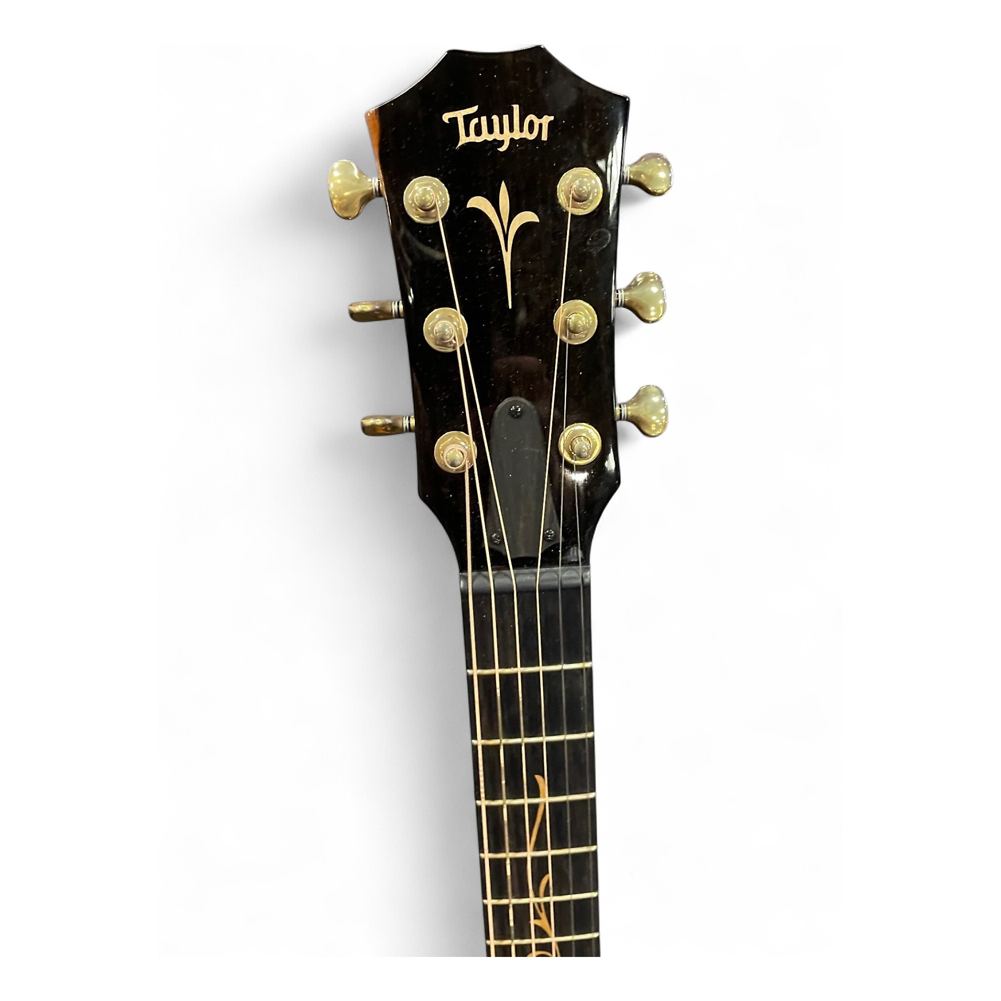 ギター Free The Tone PT-2 PT-2｜Products 商品紹介｜Free The Tone