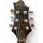 Used Greg Bennett Design by Samick TORINO  CHERRY Solid Body Electric Guitar