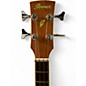 Used Ibanez PNB14EOPN Natural Acoustic Bass Guitar
