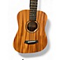 Used Taylor BT2 Baby Mahogany Acoustic Guitar