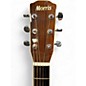 Used Morris M-50 Sunburst Acoustic Guitar