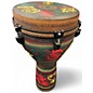 Used Remo DJEMBE ADINKRA Djembe