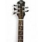 Used Michael Kelly MKD5SSBSFR Trans Black Acoustic Bass Guitar