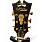 Used D'Angelico DELUXE 59 MATTE MIDNIGHT Hollow Body Electric Guitar