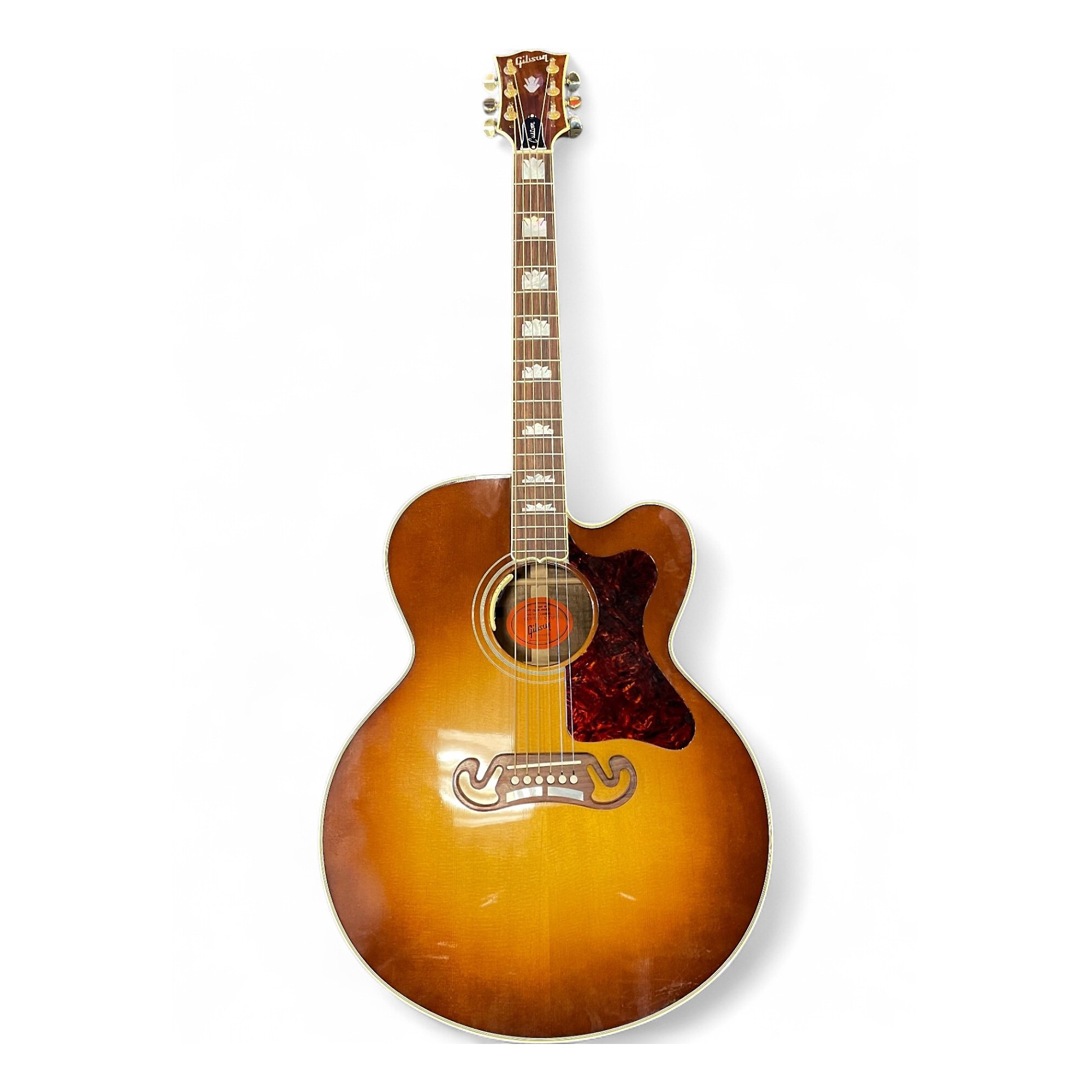 J-Live とBROWNSTONE 2枚 washburn-electric-guitars-