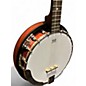 Used Washburn B8K Brown Banjo