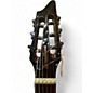 Used Breedlove Pursuit Nylon Natural Classical Acoustic Electric Guitar