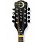 Used Luna MOONBIRD A-STYLE Black Mandolin