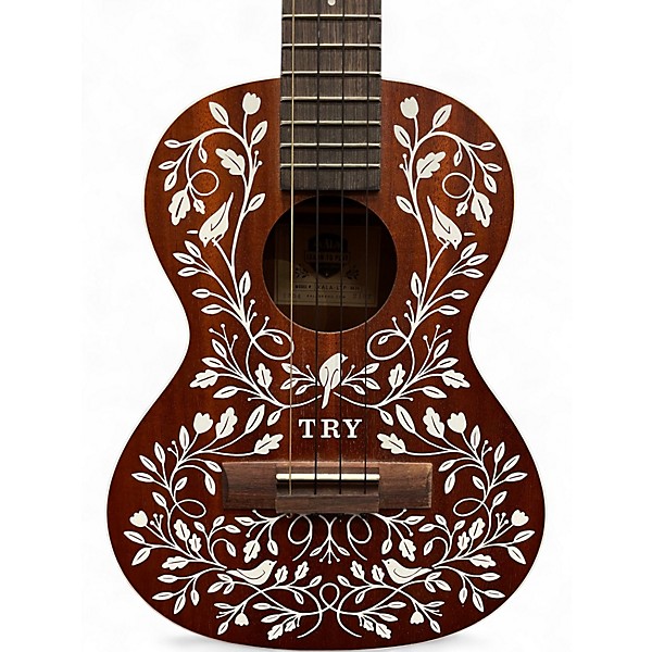 Used Kala Learn To Play Mahogany Ukulele