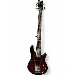 Used Schecter Guitar Research Raiden Special 5 String Dakota Red Electric Bass Guitar