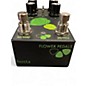 Used Flower Pedals HOSTA Effect Pedal
