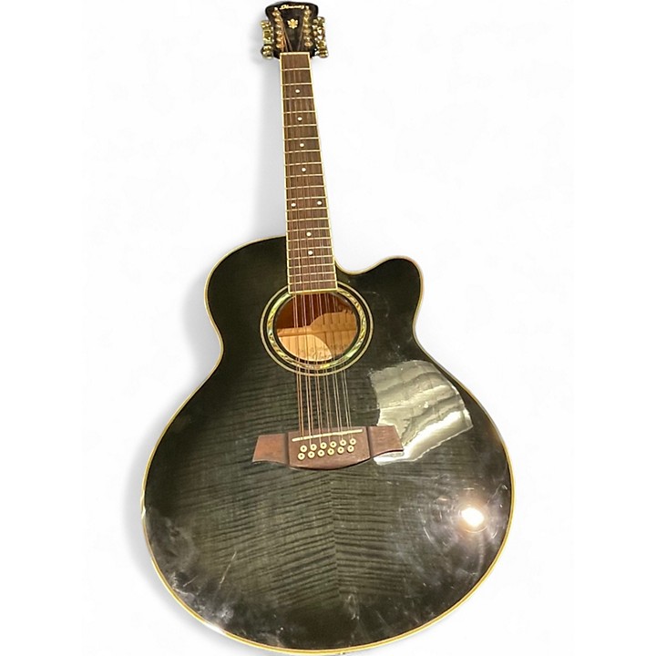 IBANEZ AEL20 acoustic guitars for sale in USA | guitar-list