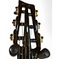 Used Emerald Reed X20 2 Color Sunburst Classical Acoustic Electric Guitar